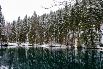 Lake in winter forest. Pine forest is on background. Germany.