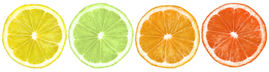 Zitrusfrüchte in den Farben von Zitrone, Limone, Orange und Grapefrucht