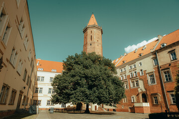 Fototapety na wymiar - Fototapeta24.pl