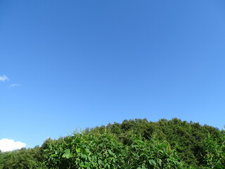 青空と初秋の山