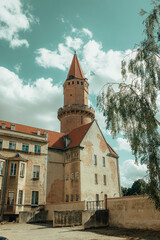 Fototapety na wymiar - Fototapeta24.pl