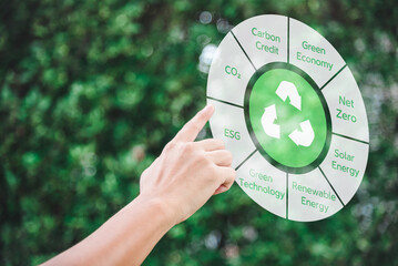 Hand touch icon recycle green energy carbon credit net zero esg co2 digital technology on green...