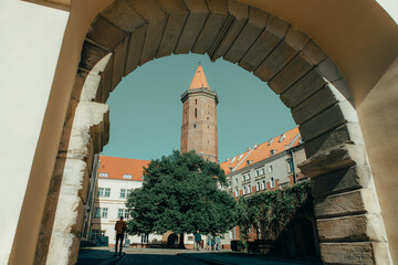 Fototapety na wymiar - Fototapeta24.pl