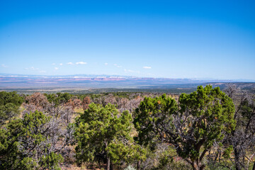 Fototapeta na wymiar le fevre overlook, grand staircase escalante