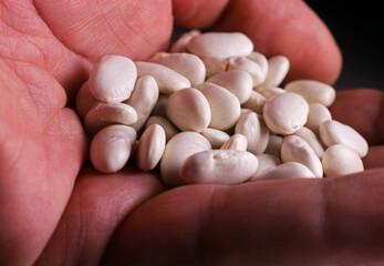 close-up of dry beans in the palm of a man