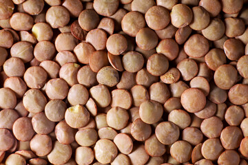 food background with close-up a lot of lentils