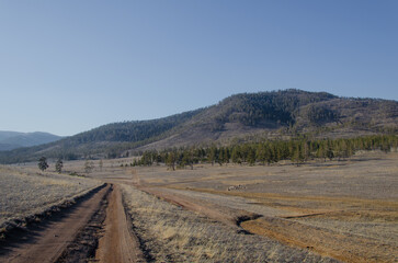 A dirt road in the middle of the field goes into the distance, to the mountains and forest.