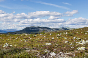 Stadjan, Sweden: Mountain summit in the Stadjan Nipfjallet nature reserve