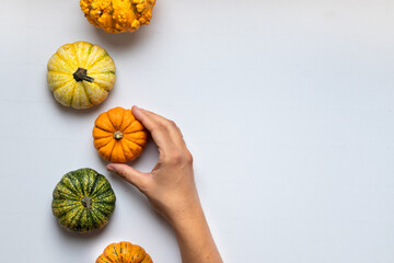 Hand holding little orange pumpkin on white background. Thanksgiving and autumn theme.