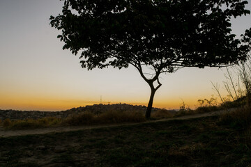 Lindo pôr do sol com silueta de árvore ao entardecer com céu dourado  limpo, em pedreira no bairro Industrial, Contagem, Minas Gerais, Brasil