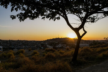 Fototapeta na wymiar Lindo pôr do sol com silueta de árvore ao entardecer com céu dourado limpo, em pedreira no bairro Industrial, Contagem, Minas Gerais.