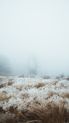 Winter in czech mountains called Beskydy. Wonderful frozen landscape with ice and snow. Moody days in forest are always a blessing for our soul. Adventure and hike.