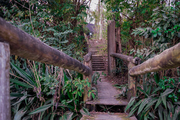 Píer de madeira abandonado, feito  entre árvores que leva as margens da represa da várzea das flores em Contagem, Minas Gerais, Brasil.