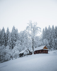 Winter in czech mountains called Beskydy. Wonderful frozen landscape with ice and snow. Moody days in forest are always a blessing for our soul. Adventure and hike.