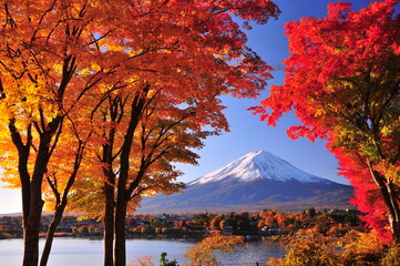 紅葉と富士山
