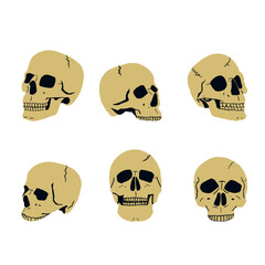 Set of human skulls isolated on white background. Digital art style. illustration painting
