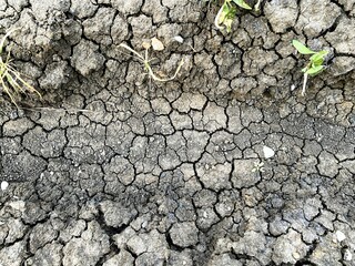 dry crack soil texture in country Thailand