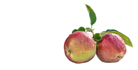 Apples with leaf isolated png photo.