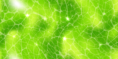 Abstract green wallpaper or plant cells texture under a microscope seamless pattern. Leaf tissue layer vector macro illustration. Microbiology background. Scientific structure.
