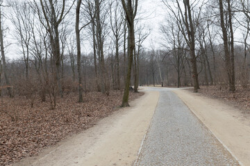 empty public park in winter in berlin