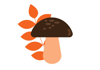 mashroom © Barbara