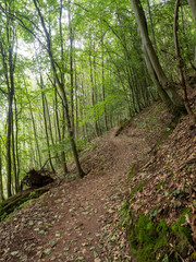 Obraz premium Landschaft