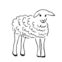 Simple black outline vector drawing. Lamb, young sheep. Farmyard, pets. Ranch and village. Animals and nature. Sketch in ink.