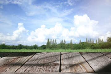 beautiful wooden floor and sky and meadow background