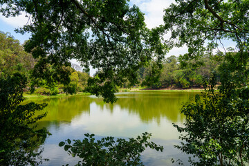 Fototapeta na wymiar paisagem de um belo parque com lago e arvores 