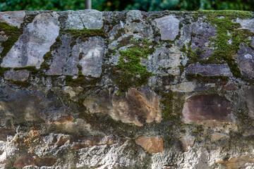stone wall with moss