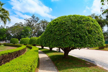 Lindo jardim com estilo colonial 