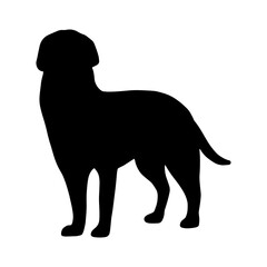 Vector isolated dog animal silhouette icon. Simple black shape. Graphic symbol illustration. Abstract design element. Vet clinic logo. Pet portrait shadow flat style.