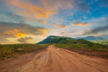 rural road and mountain scenery in the evening,Road in a green field with and mountains under the...