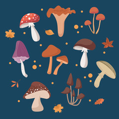 Different mushrooms set  with autumn leaves on dark blue background vector illustration