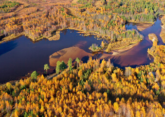 Autumn colorful landscape. Autumn time. Aerial photography of landscape in Western Siberia. Bird's eye view.
