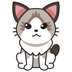 Cartoon character ragdoll cat for design.