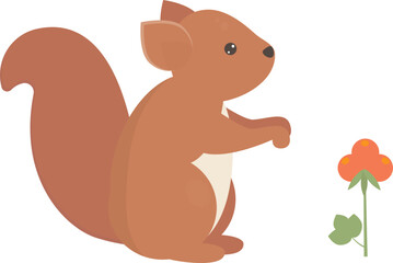 Squirrel cub personage isolated vector illustration for decor