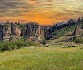 Landscape in nature