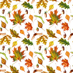 Watercolor seamless pattern with colorful autumn leaves and seeds isolated on white