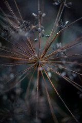 Hintergrund abstrakt