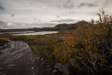 Autumn season landscape in Teriberka Village, Murmansk, Russia
