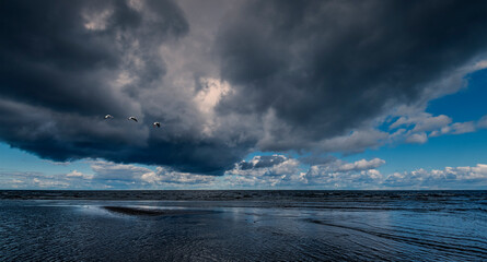 Autumnal stormy clouds above the Baltic Sea and migrating birds