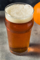 Boozy Refreshing Pumpkin Ale Craft Beer