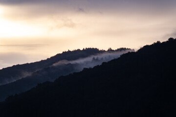 low fog clouds in the mountain forest during a rain at sunrise