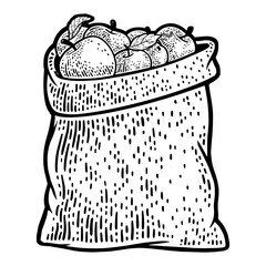 bag of apples grain sketch PNG illustration with transparent background