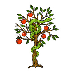 Serpent on apple tree sketch PNG illustration with transparent background
