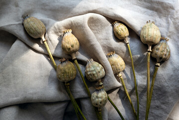 Flat lay of dried poppies on a linen background.