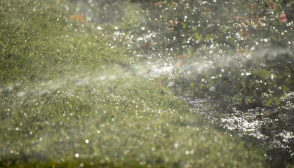 Obraz na płótnie Canvas Irrigation system watering green grass, blurred background