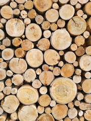 Sawn timber logs stacked for a wood burning stove. Close up in full frame in a vertical format