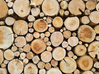 Woodpile fresh cut pine logs at sawmill factory. Big stack of tree trunks at wood production lumber...